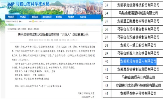 科技小巨人