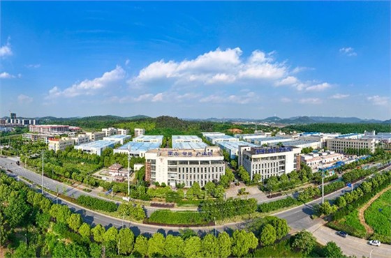 斯塔克