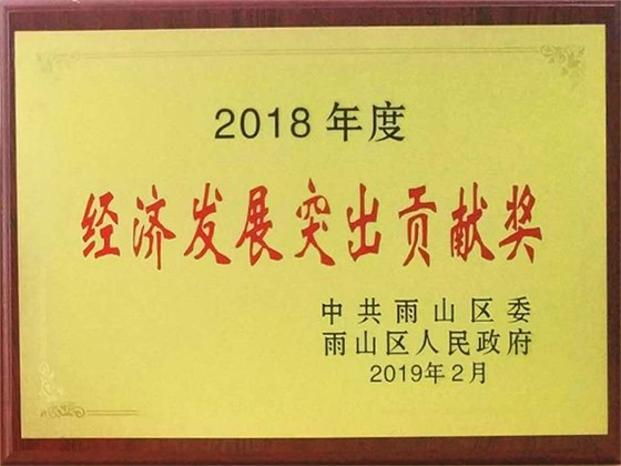 斯塔克-经济发展突出贡献奖