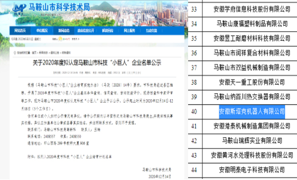 科技小巨人